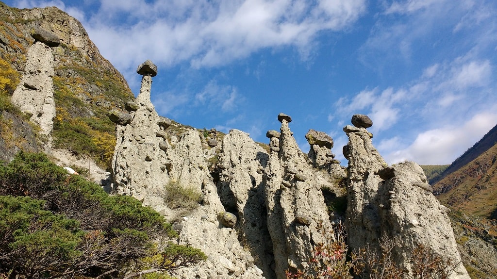 Каменные грибы алтай фото