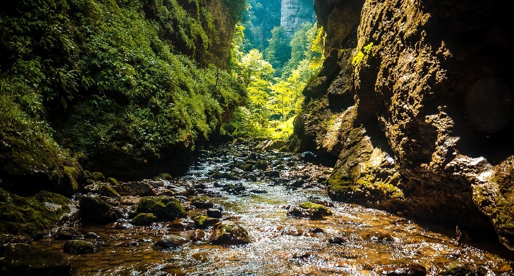 Сухая балка